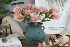 家具饰品批发可以投资