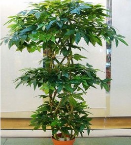 春节仿真发财树